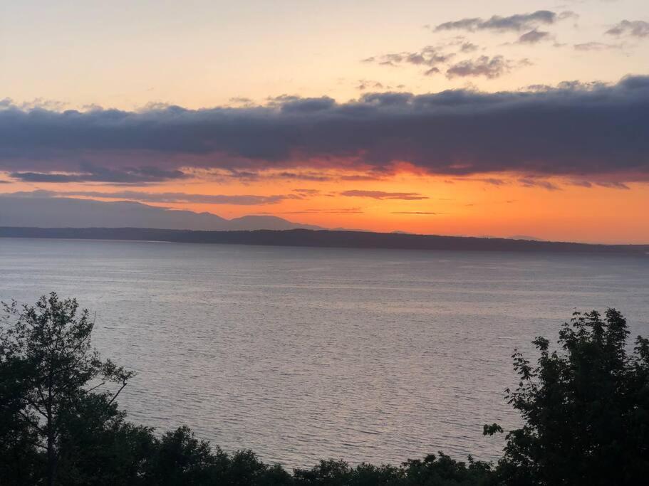 1-Bedroom Seaview Guesthouse On Seattle Luxury Estate With Views Of Olympic Mountains Екстер'єр фото