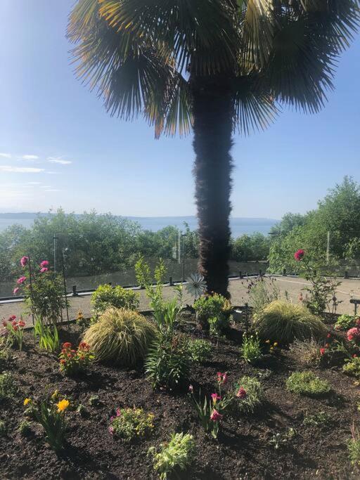 1-Bedroom Seaview Guesthouse On Seattle Luxury Estate With Views Of Olympic Mountains Екстер'єр фото
