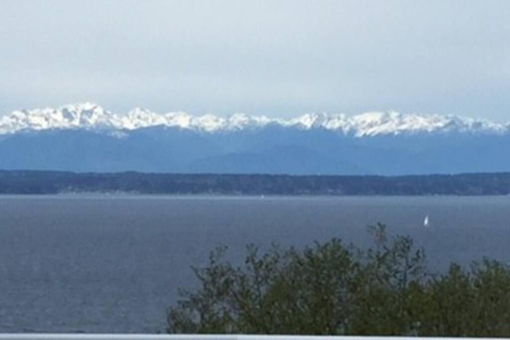 1-Bedroom Seaview Guesthouse On Seattle Luxury Estate With Views Of Olympic Mountains Екстер'єр фото