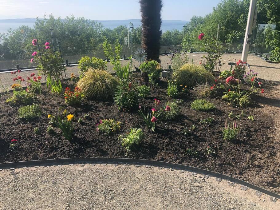 1-Bedroom Seaview Guesthouse On Seattle Luxury Estate With Views Of Olympic Mountains Екстер'єр фото