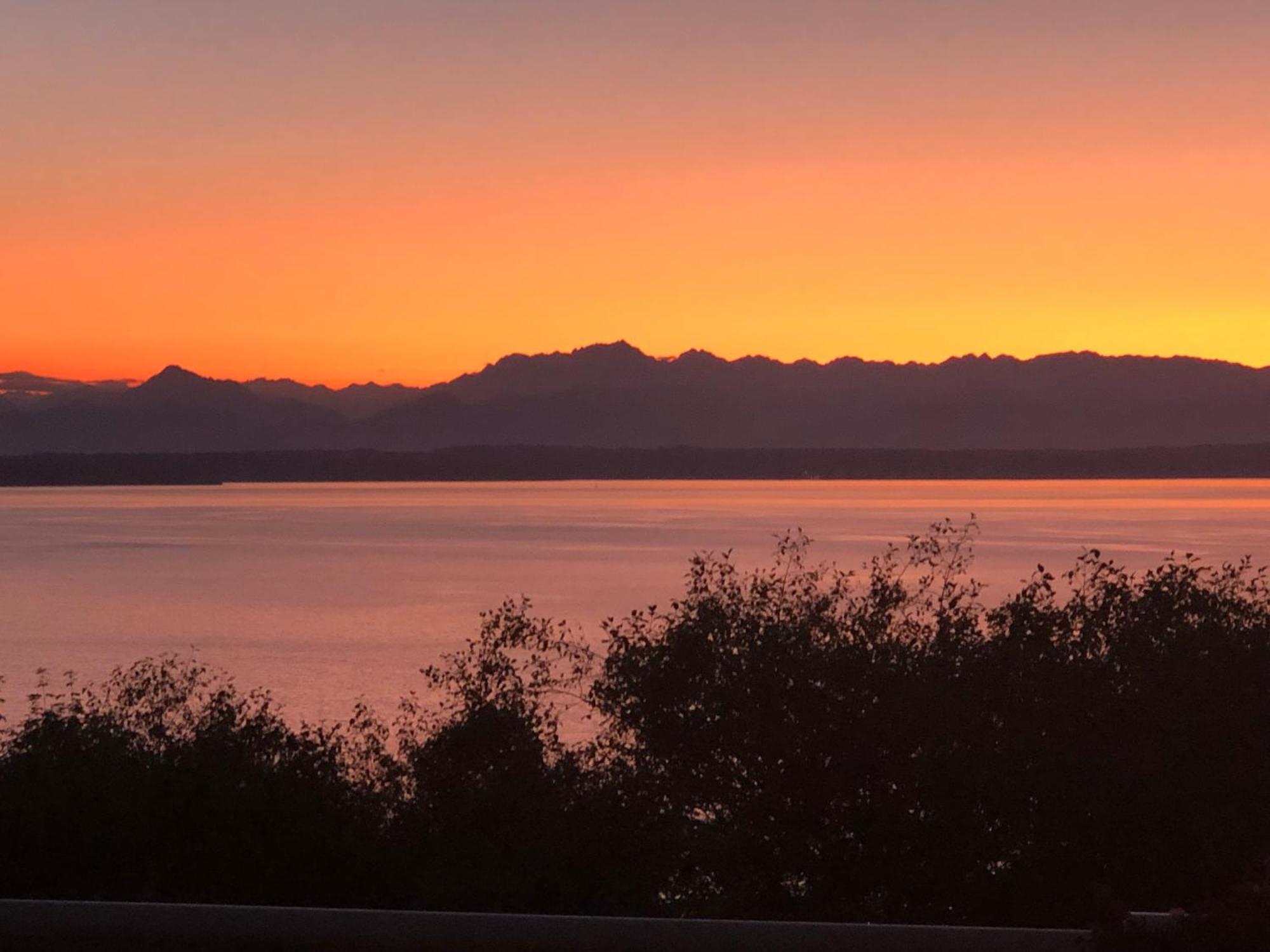 1-Bedroom Seaview Guesthouse On Seattle Luxury Estate With Views Of Olympic Mountains Екстер'єр фото